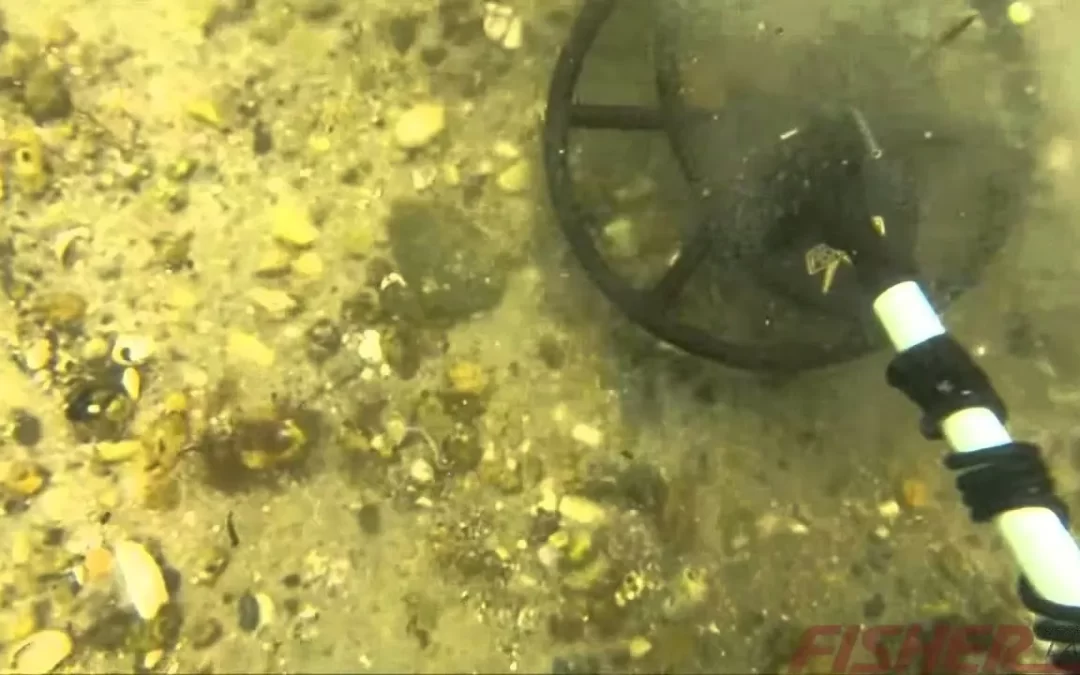 CZ-21 Quick Silver Dive: Mastering Underwater Metal Detection