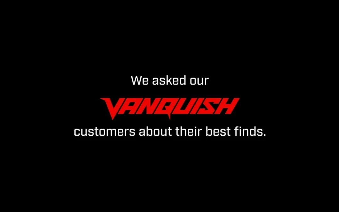 Mastering the Minelab Vanquish 440: A Treasure Hunter’s Guide